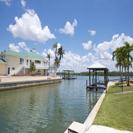 View the Wildlife in the Canal