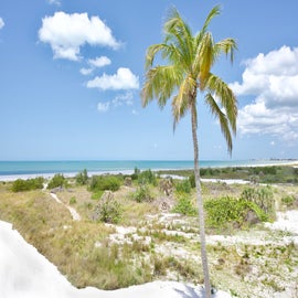 Beach at Lone Palm Retreat